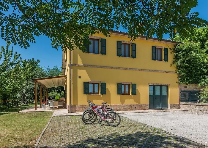 Design * 페르기네 발수가나