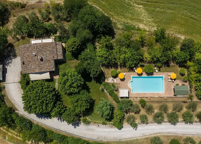 Design * 페르기네 발수가나