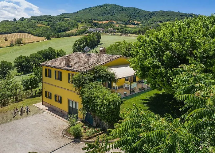 Design * 페르기네 발수가나